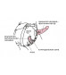 Женский пояс-трусики c 2 насадками и вагинальной пробкой