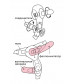 Телесный страпон Harness с вагинальной пробкой - 19,5 см.